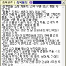 메모라이트