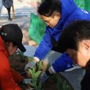 동탄2동 행정복지센터 이미지