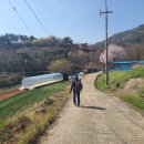 북평 오산마을 구간 | [걷기] 남파랑길 65코스 (고흥 구간)