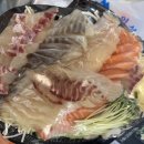 노량진 일성수산 곤부지메 숙성회 추천 후기 내돈내산
