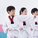 건강한태권도 이미지