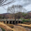 서울의 심볼 남산을 찾아서~~~ 이미지