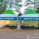 온세여행주