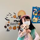 후즈독 이미지