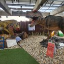 우석헌자연사박물관 이미지