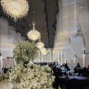 신생교회 앞 | W7. 대전 웨딩홀 투어후기ㅣ 라도무스 웨딩홀🕊️ (계약 O, 계약취소O)