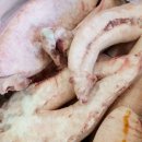 수글로벌참치㈜