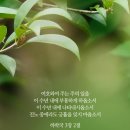 오늘의 &#39;영어성경 사진&#39;(366강) “부흥(復興)”(하박국 3장 2절 하반절) 이미지