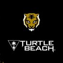 OWL e-sports 이미지