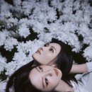 도드리 뉴시스