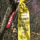 득량남초등학교 이미지