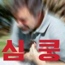 3인칭관찰자시점 이미지