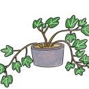 영남네오빌파크 이미지