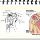 서민한의원 이미지
