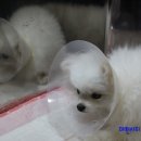 도희동물병원 이미지