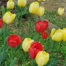 가좌농장 이미지