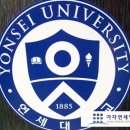 가자연세병원 네이버블로그