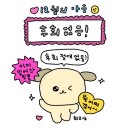 12월의 교훈 : 살이 찌는 이유가 궁금하다면 갤러리를 확인해보자