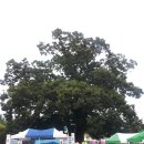 한재초등학교 이미지