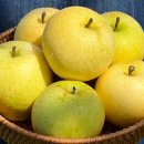 청량농장 이미지