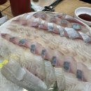 광어9900 이미지