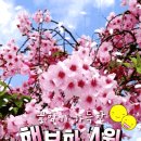 * 詩人의 향기(妻下泰平(처하 태평))2026년4月3日* 이미지