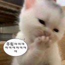 수성못에서 룰루랄라