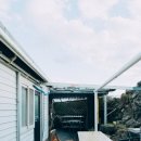 일송정민박 이미지