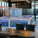 진세이로무시 이미지