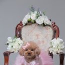 멋지개 예쁘개 이미지