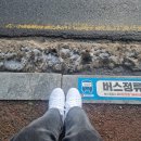 221219-25 눈은 펑펑 내리고, 나는 병원 다니고