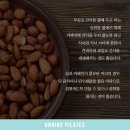 중독언니네