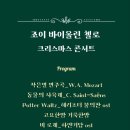 조이바이올린첼로음악학원