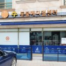 수동물메디컬센터 | 후추 드디어 중성화 수술하다😥(ft.수동물메디컬센터)