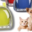 회수동-2 이미지