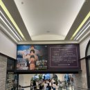 신세계백화점 강남점 태어난김에 세계일주 팝업스토어 후기