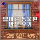 멜버른 동물원 후기 | 시내에서 가까워 가족 여행으로 추천하는 동물원