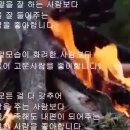 모닥