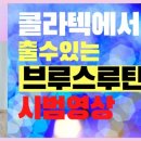사교댄스 (브루스,지루박) 중급 이미지