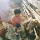 주혁목장 이미지