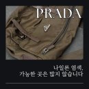 신사의명품세탁