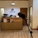 다움피아노음악학원 이미지