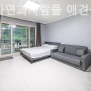 포천 자연과사람들 애견동반펜션 네이버블로그