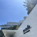 일출썬펜션 | 정동진 썬크루즈호텔 리조트 / 비치크루즈 테라스트윈 /풀빌라객실/ 오션뷰 내돈내산 솔직후기