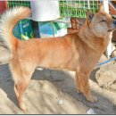 광탄한의원 이미지