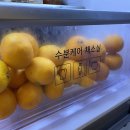 쏭's 테이블 이미지