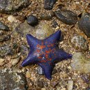 바다나라식당 이미지