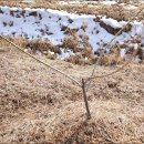 내곡농장 이미지