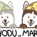 호두마루의 간식공장 이미지