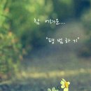 면목동-064 이미지